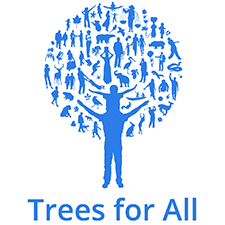 trees for all teambuilding Coventry